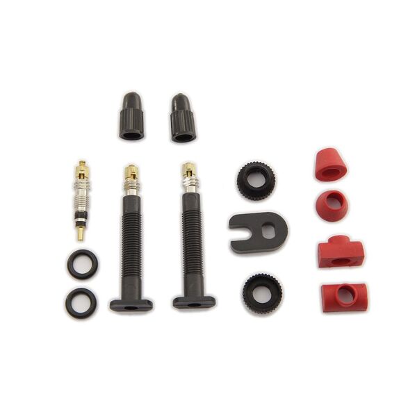 Carbon ventiliai  Barbieri VALVE SET 35MM